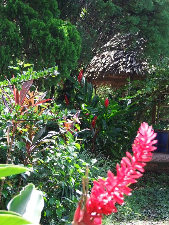 Cabana El Bien Germina Ya El Valle  Esterno foto